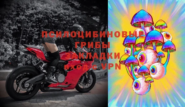 эйфоретик Алексин